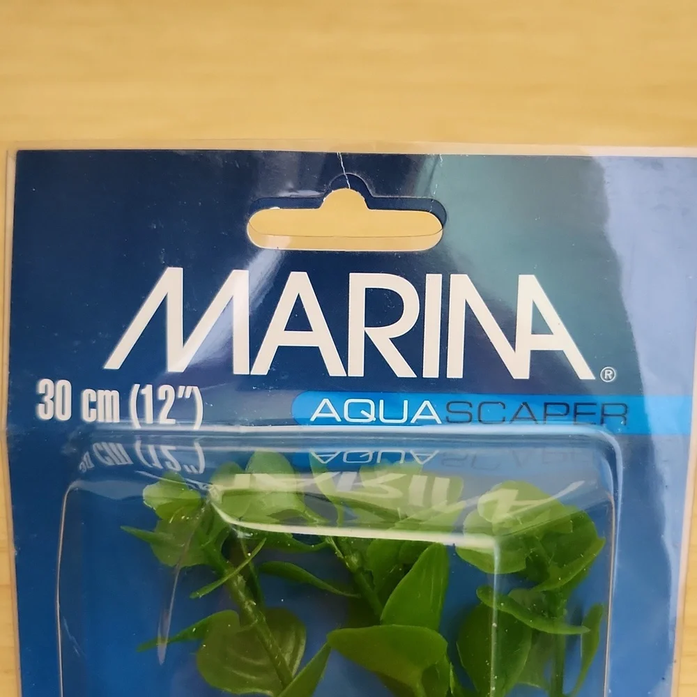 Marina Aquascaper Moneywort, 12-Inch